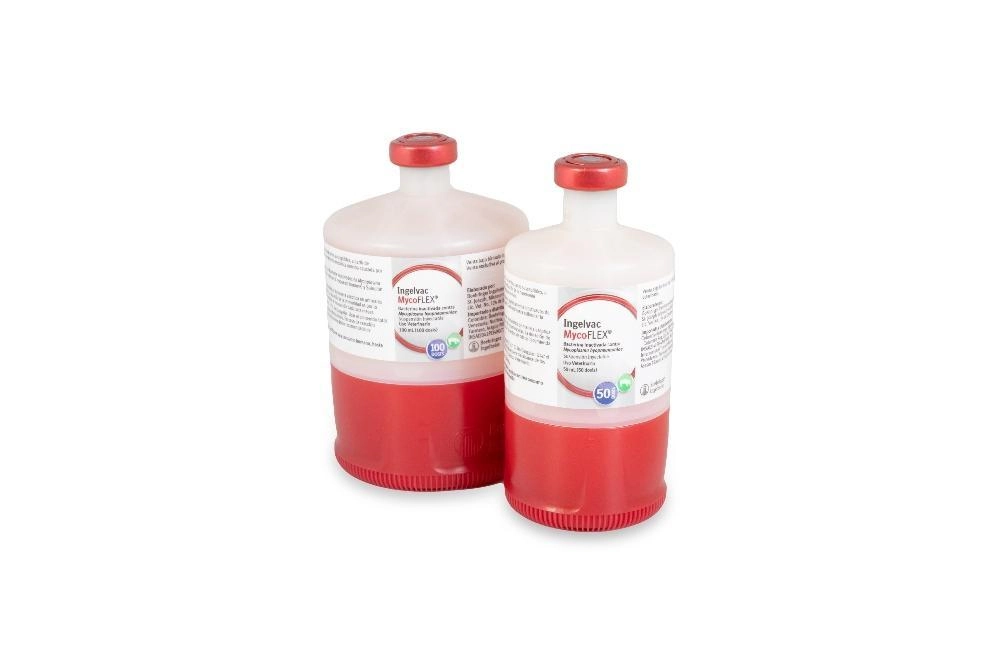 INGELVAC MYCOFLEX  X 50 DS. (BOEHRINGER)