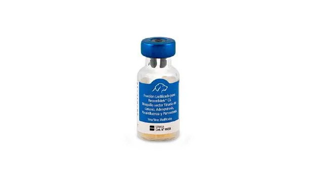 RECOMBITEK C6 X 25 DS (BOEHRINGER)