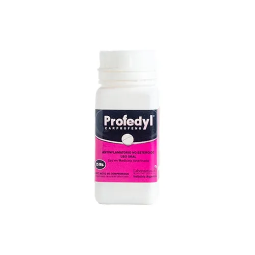 Profedyl x 60 compo. De 100 mg (ATON)