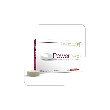 POWER COMP. 30,1-40 KG.(BROUWER)