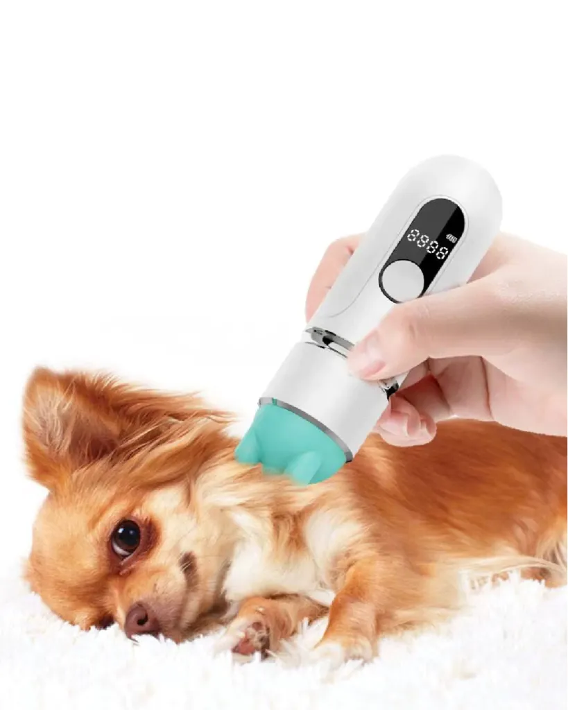 Pet Massage (TECNO PAW)