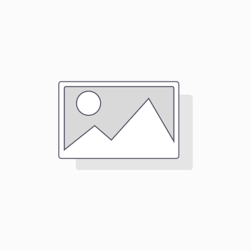GANAMIC X 250 ML