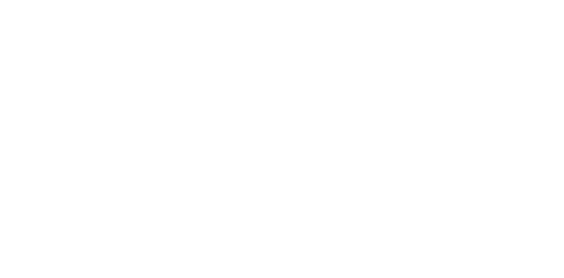 FVT Distruibidora